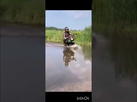 Rajtszám: 176