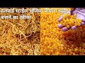 हलवाई स्टाईल भुजिया बादाना बूंदी बना�