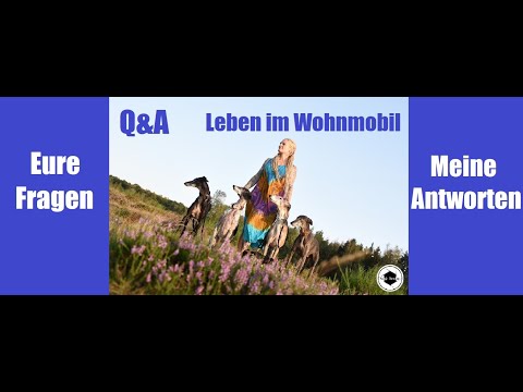 Q&A Questions/Answers about my life in a motorhome with 6 dogs / #VANLIFE EP.8