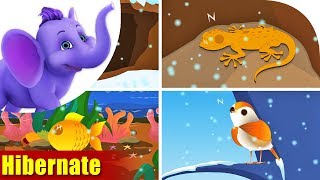 Hibernate | Nature song for Kids | 4K | Appu Series