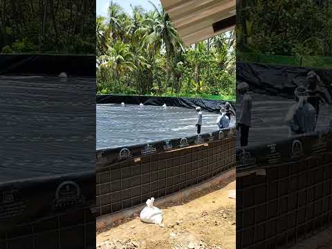 30 diameter tank biofloc shrimp farming