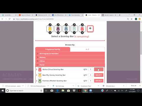 New Consultant Training: Set up a party, Workstation vs Website