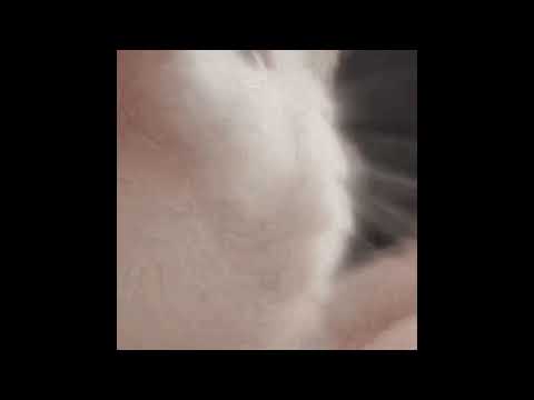 Pablito - kiedy byłem mały