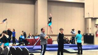 2015 Alamo Classic Level 6 Balance Beam 8.775