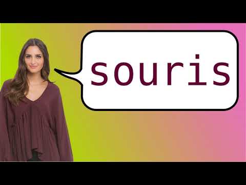 YouTube video about: How do you spell mouse in french?