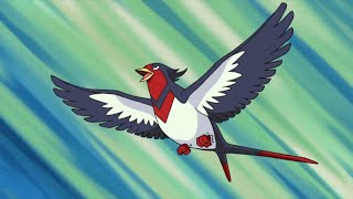 All Ash's Swellow moves