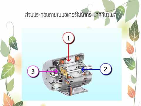 โรค vinericheskie ส่งผลกระทบต่อความแรง ตื่นเต้นผู้หญิง 50 ปี