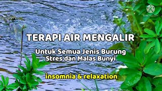 Download lagu Terapi suara gemericik air mengalir #Suara air terapi burung - Insomnia dan relaksasi mp3