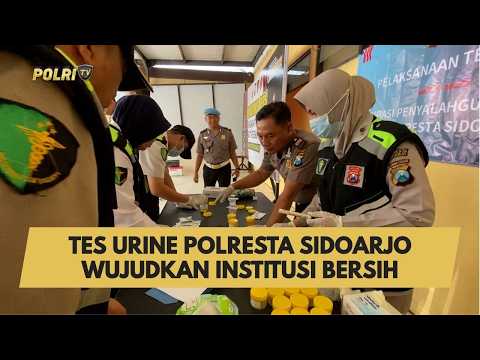 TES URINE POLRESTA SIDOARJO WUJUDKAN INSTITUSI BERSIH