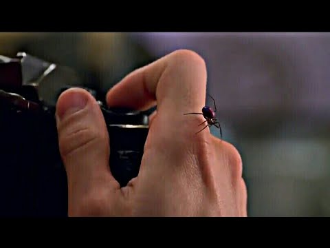 Peter Parker é picado pela Aranha ( Homem Aranha | 2002 HD e Dublado )