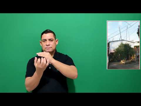 Miniatura do vídeo: Terreiro 086