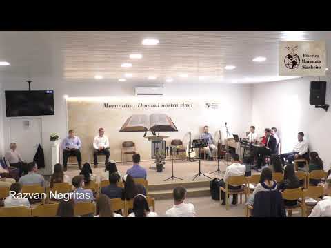 Razvan Negritas - As vrea sa numar clipele