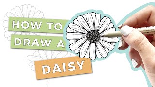 HOW TO DRAW A DAISY FLOWER: Step-By-Step Tutorial