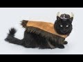 How to Sew a Viking Pet Costume