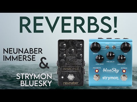 Reverbs! | Neunaber Immerse and Strymon blueSky