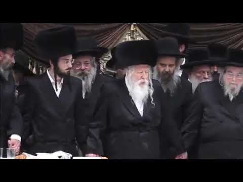 טו אלול תשפ"ב - האדמו"ר מבעלז בריקוד עם האדמו"ר מגור בשבע ברכות לנכדתו