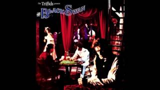 The Triffids - One Mechanic Town