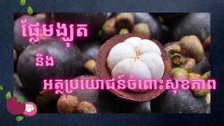 ផ្លែមង្ឃុត និង អត្ថប្រយោជន៍ចំពោះសុខភាព | ចំនេះដឹងសុខភាព​​​ | Health Education