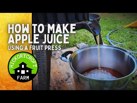 How To Make Apple Juice | Using A Fruit Press | First Batch For 2021