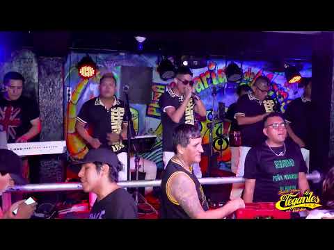 LOS ELEGANTES DE LA CUMBIA en 4K - DIA DE SAN VALENTIN 2023 - (Concierto Completo)