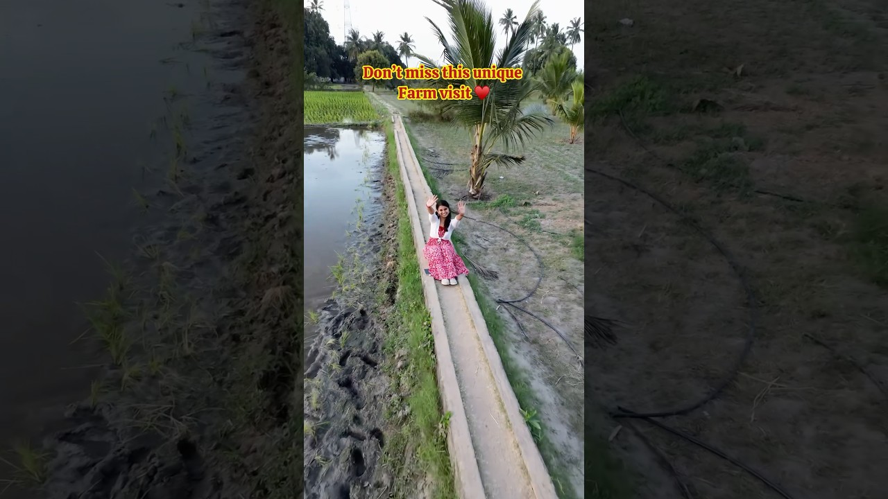 Farm visit near chennai😍😍 Farm guru, Sholavaram #Chennai #travel