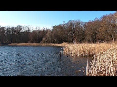 Wanderung im Berliner Grunewald vorbei an 4 Seen