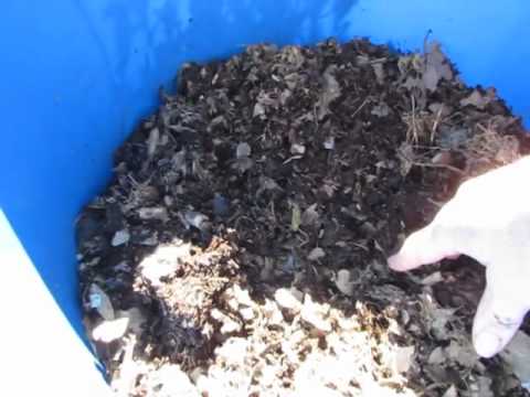 Back to eden compost update & easy DIY worm barrel..