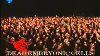 Sepultura Live Dr. Music Festival 1996