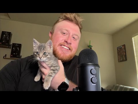 ASMR Fast and Aggressive Hand Sounds & Rambles (With Kitty)