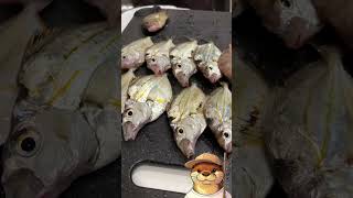 ヒイラギって食えるんだぜ #料理 #煮る #グルメ好き
