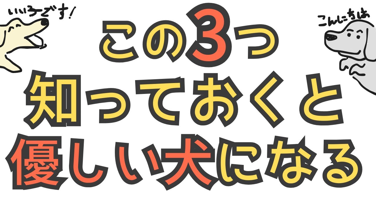 【しつけ初心者向け】しつけ始めるならまずはコレ見て！上手くいく3つの知識