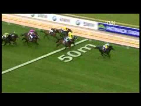 Steve Moran Selects The Age Caulfield Guineas