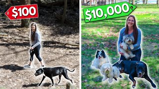How She Turned Her Side Hustle into Full Time Dog Walking Business (Start with $0)