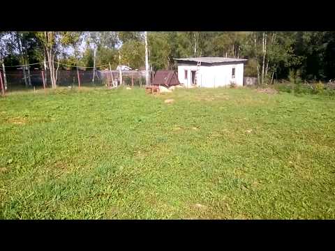 Земля #Солнечногорск деревня Давыдково#АэНБИ #недвижимость
