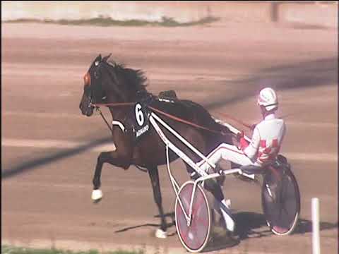 Trotto 04/10/2019 - 3ª corsa