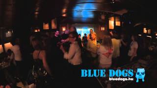 Blue Dogs cover of - Robin Thicke - Blurred Lines / Bruno Mars - The Lazy Song