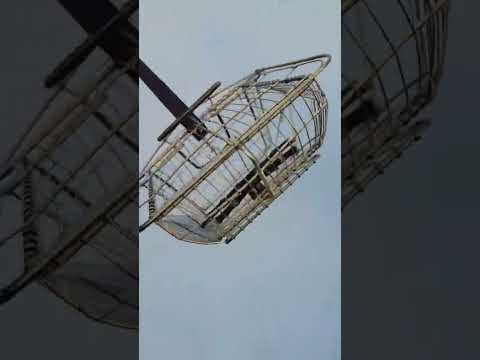 Lụp lồng bẫy chim mạ vàng trúc tàu đen  | ChươngNHC #nhc  #shorts #chuongnhc #longbaychim