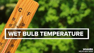 What is the wet bulb temperature? | Weather Wise Lessons