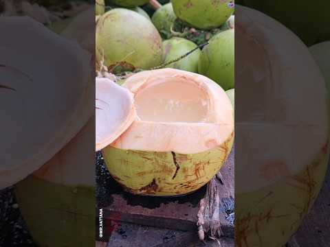 Omg Satisfied Fresh Young Coconut Water.Amazing Coconut Cutting Skills. #shorts #coconut #satisfying