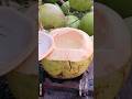 Omg Satisfied Fresh Young Coconut Water Amazing Coconut Cutting Skills Shorts Coconut Satisfying