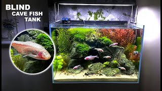 Making A Mystical Cave Aquarium For BLIND FISH!