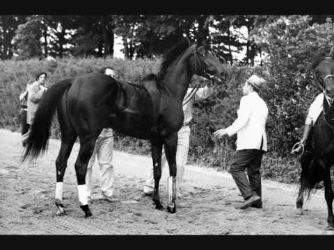 Remembering Ruffian Part 2: The Match Race