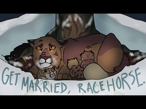Racehorse Get Married video