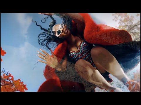 Jowy Landa - Mudumu (Official Video)