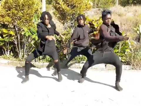 Skillibeng - TWani - honda ft dreamteam dancers 2020