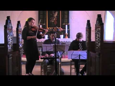 Pachelbel: Canon in D for Violin, Melodica, Accordion