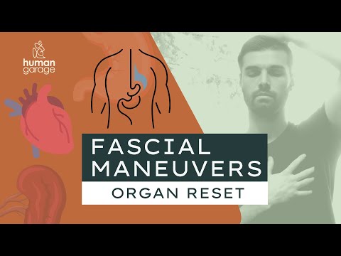 Human Garage TV and Jason van Blerk