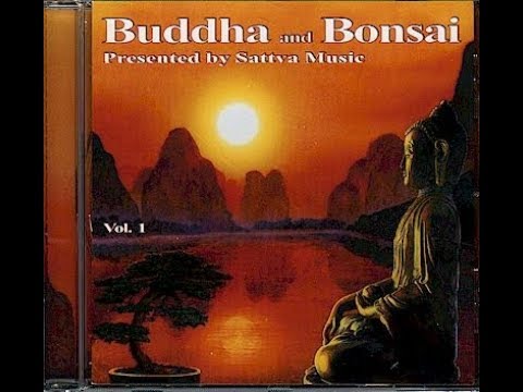 Oliver Shanti Buddha and Bonsai Vol. 1