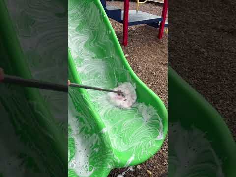 Vous en pensez quoi ?? 🤍🥰 #cleantok #cleaning #cleaningmotivation #cleanwithme