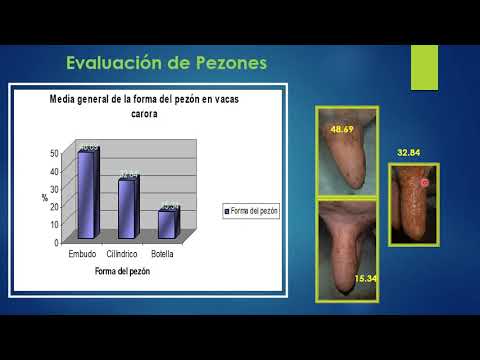 , title : 'Evaluación de la Glándula Mamaria del Bovino. Parte 2: Evaluación Funcional de los Pezones'